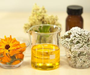 Mixing Essential Oils with Carrier Oils | Best Carrier Oils