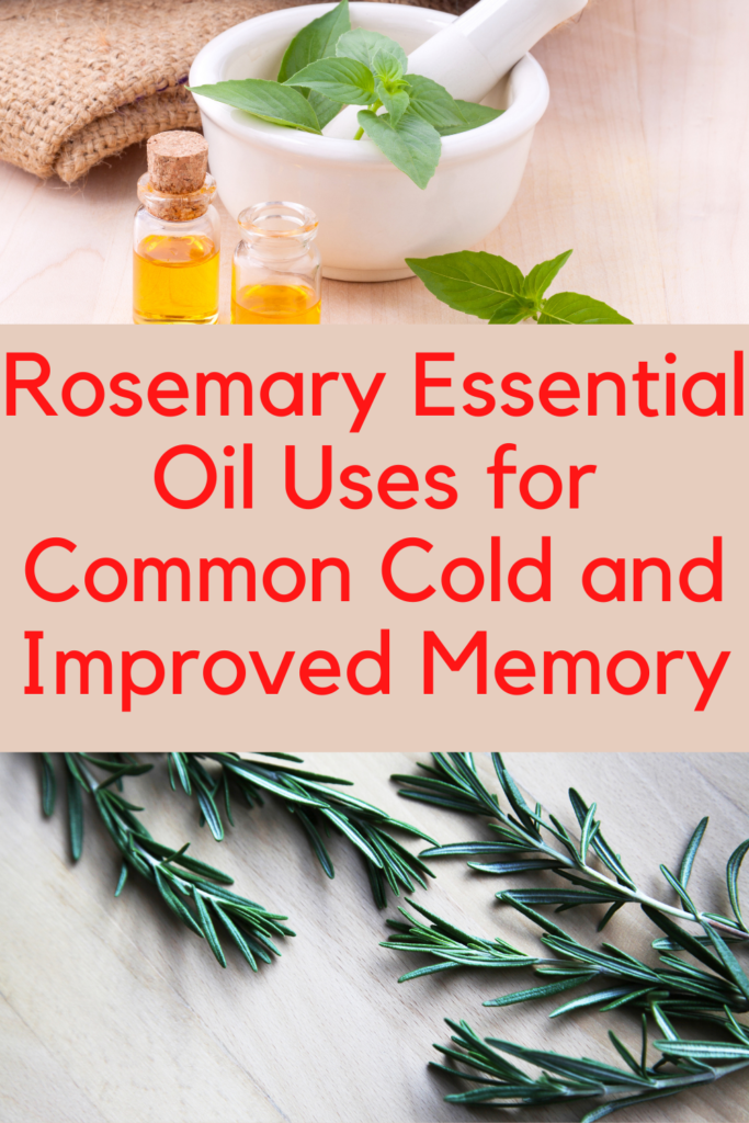 Rosemary Essential Oil Benefits