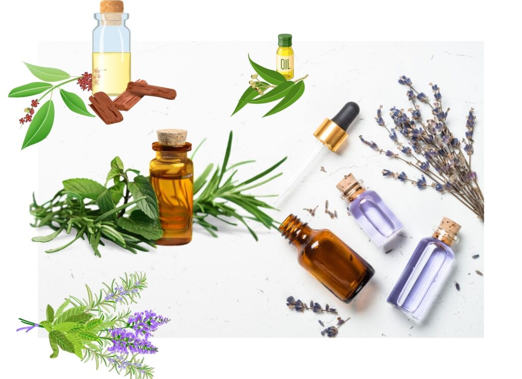 essential oils for skin itching