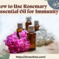 How to Use Rosemary Essential Oil for Immunity + Recipes